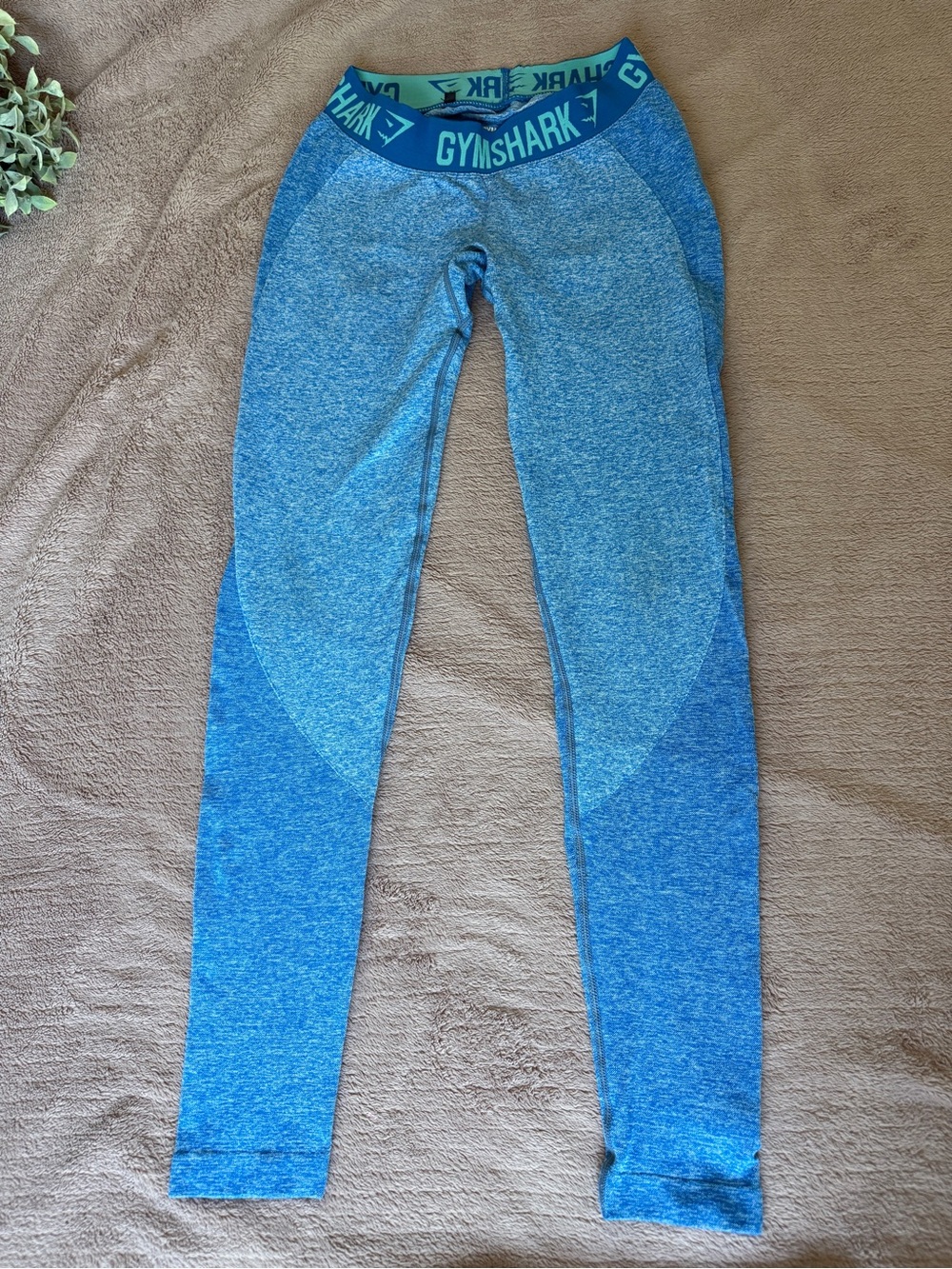 Gymshark Teal and Navy Seamless Leggings